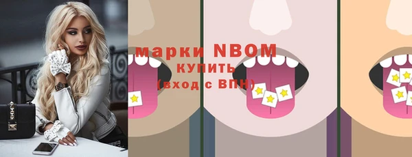 мет Алексин