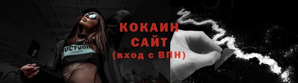 спайс Дмитриев