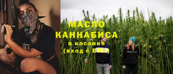 мет Алексин